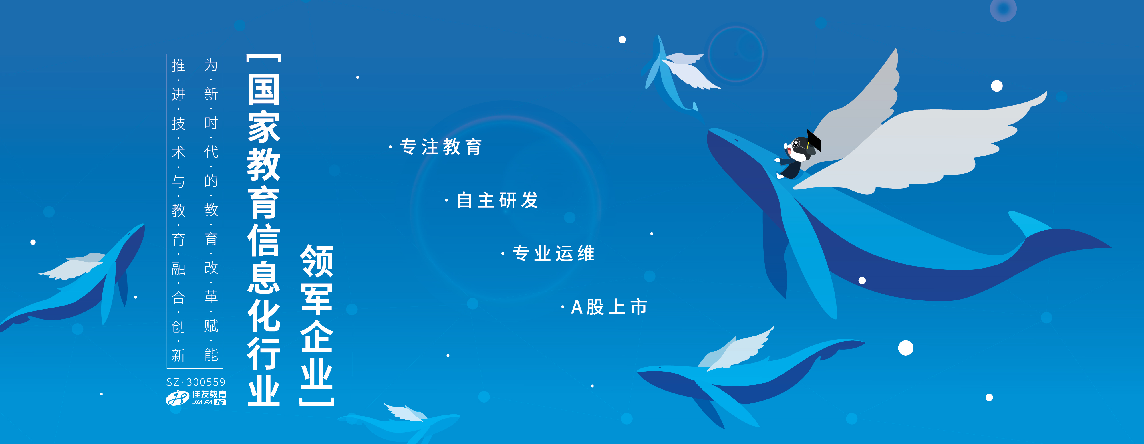 产品展示